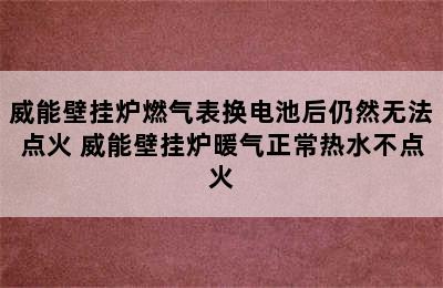 威能壁挂炉燃气表换电池后仍然无法点火 威能壁挂炉暖气正常热水不点火